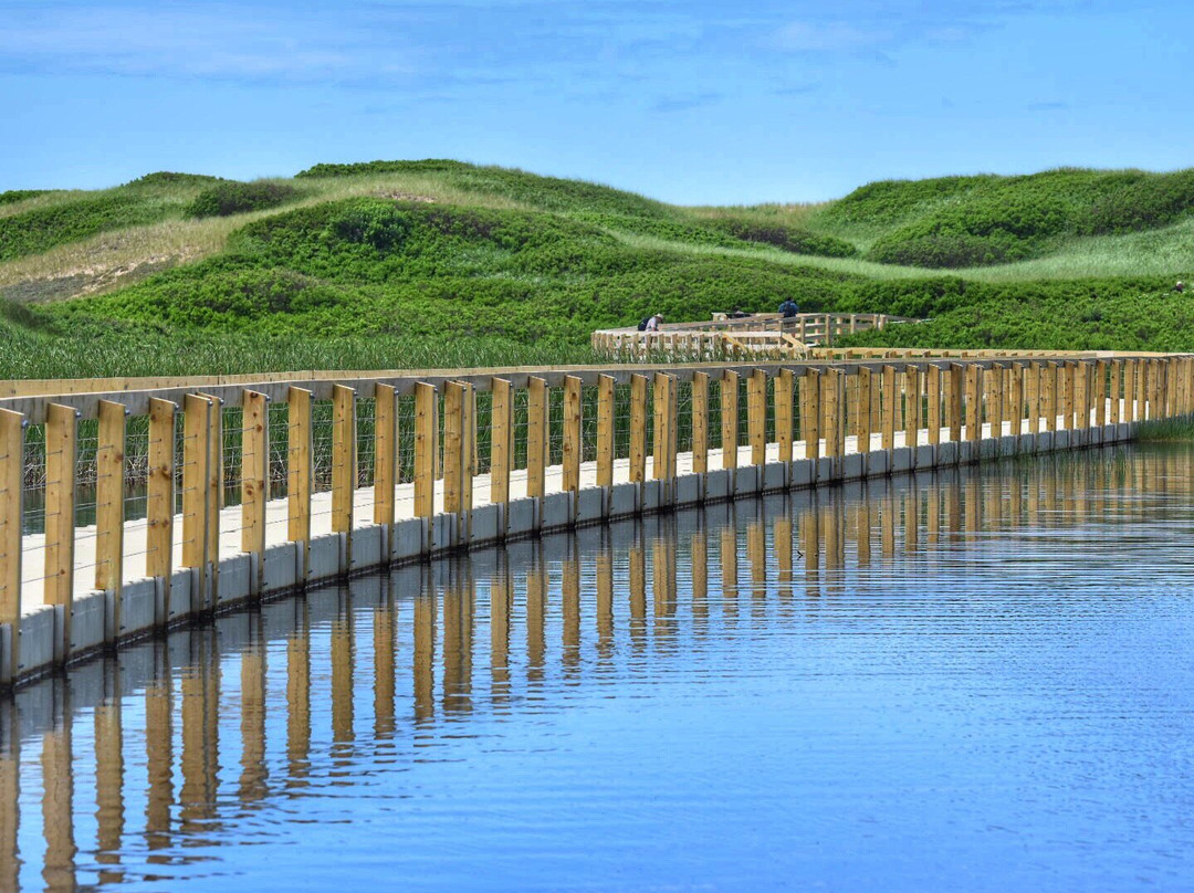 Saint Peters Bay旅游攻略图片