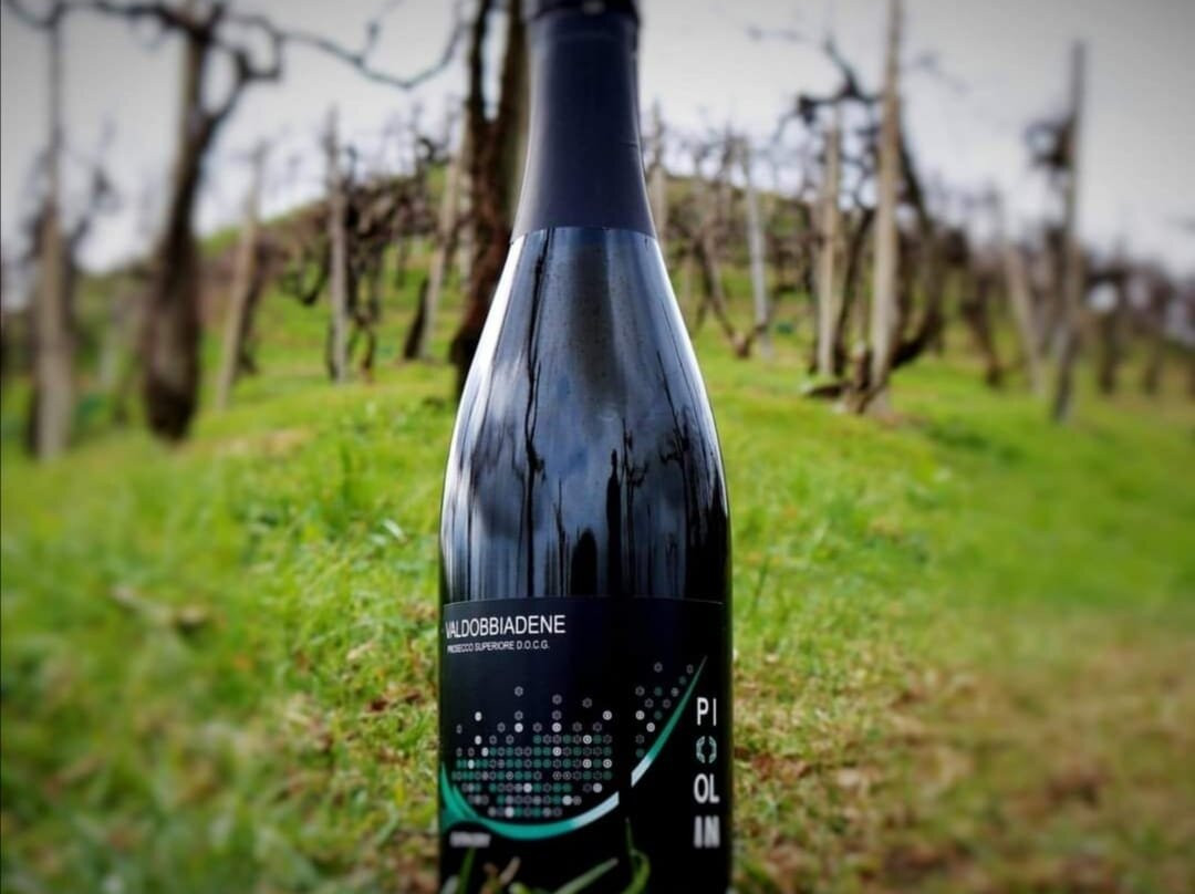 Cantina Piccolin Prosecco景点图片