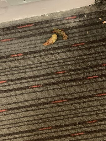 亨利物浦舒适酒店主图