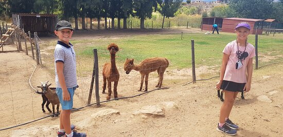 Glen Eden Farm主图