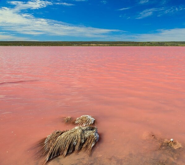 Lake Gregory Regional Park-Crestline必去景点