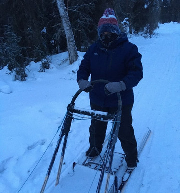 Black Spruce Dog Sledding-费尔班克斯必去景点