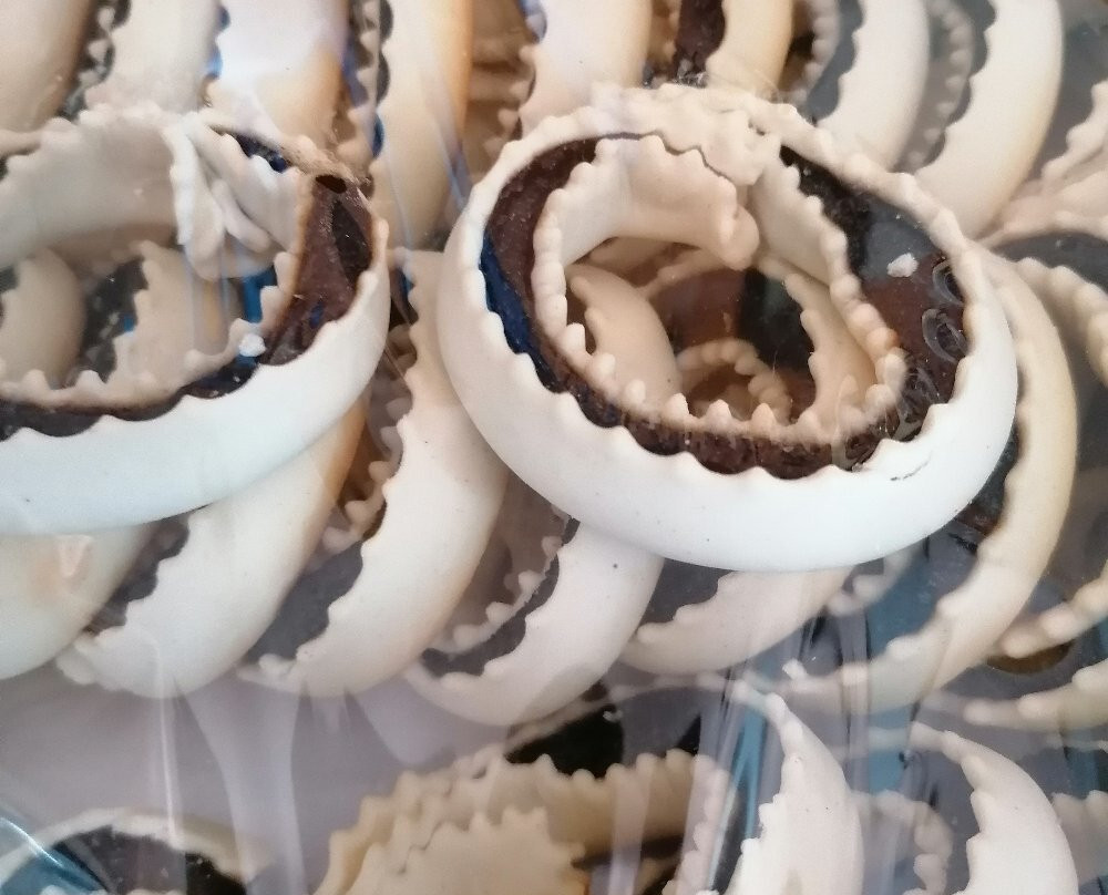 Brodske旅游攻略图片