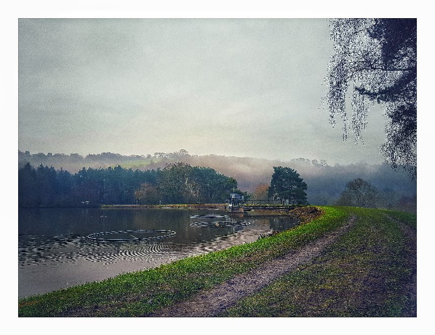 Trimpley Reservoir.-Bewdley必去景点