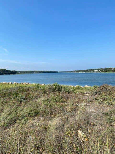Menauhant Beach景点图片