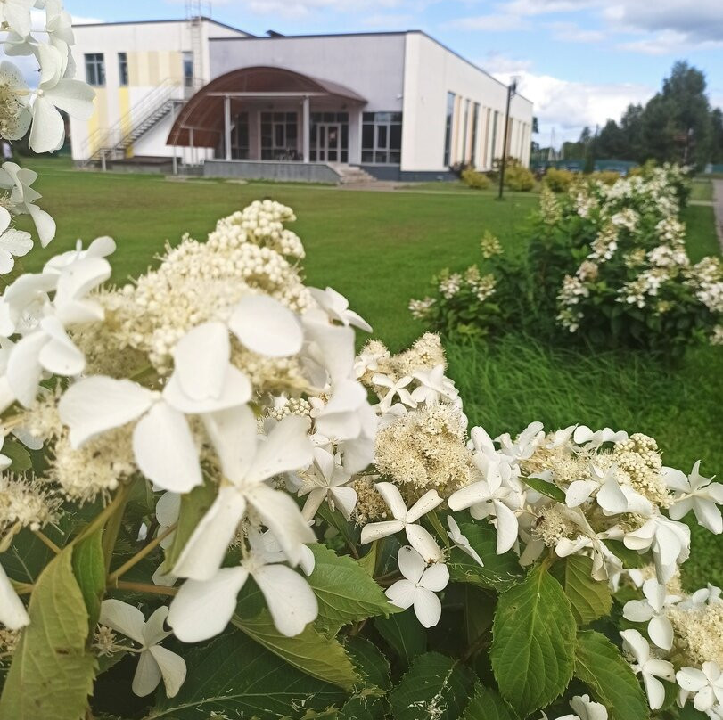 Park Hotel Spasskoye主图