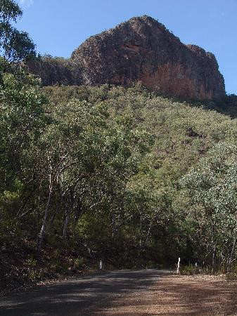 Mt Kaputar National Park景点图片