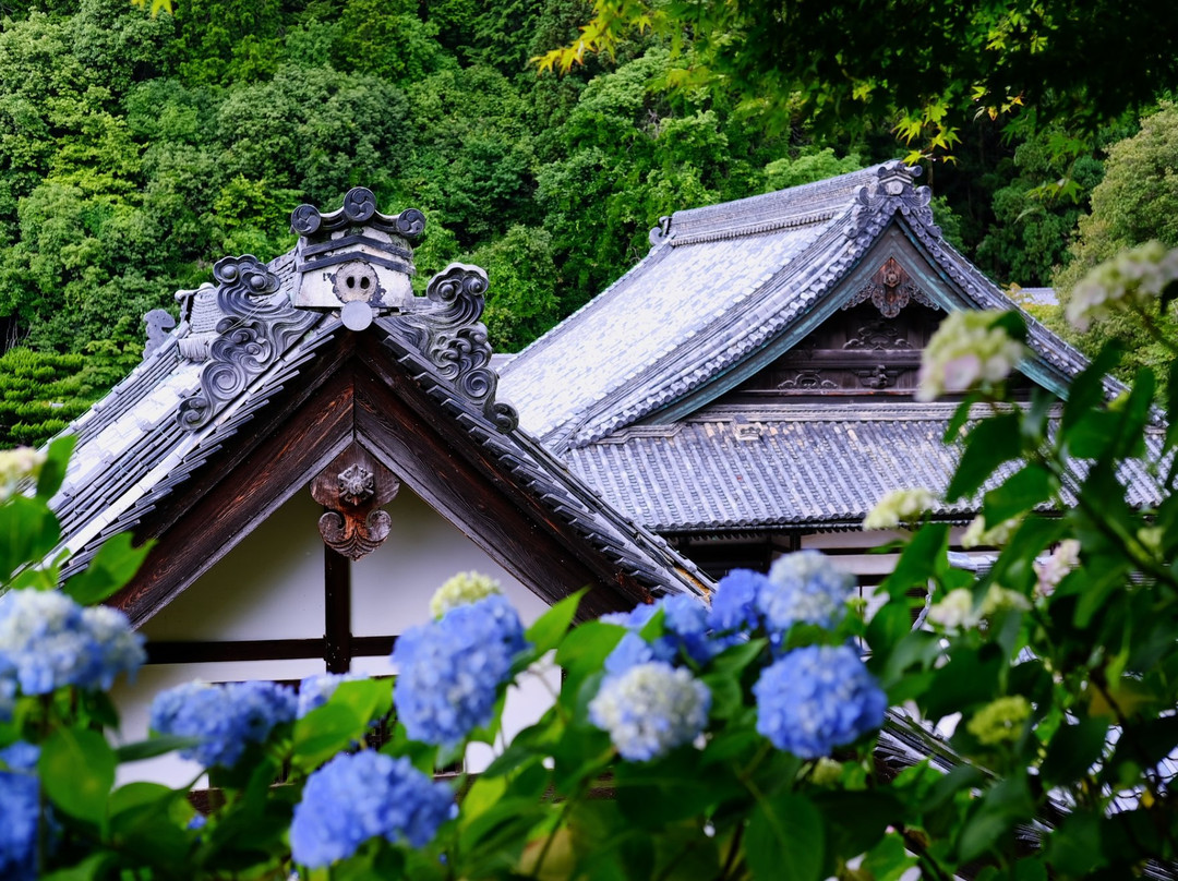 Yokokuji Temple景点图片