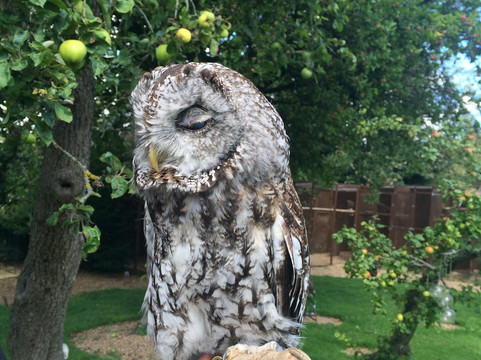 Compton旅游攻略图片