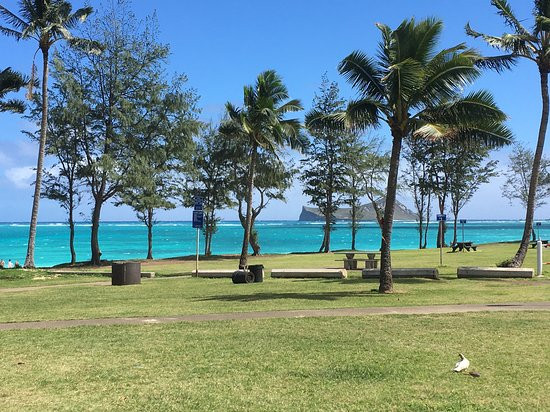 Kaiona Beach Park景点图片