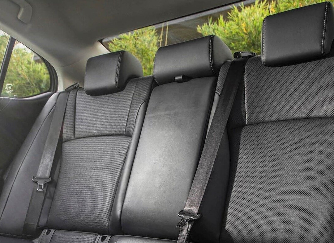 Taxi Tampa-坦帕必去景点