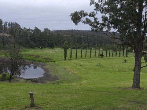 Kiah旅游攻略图片