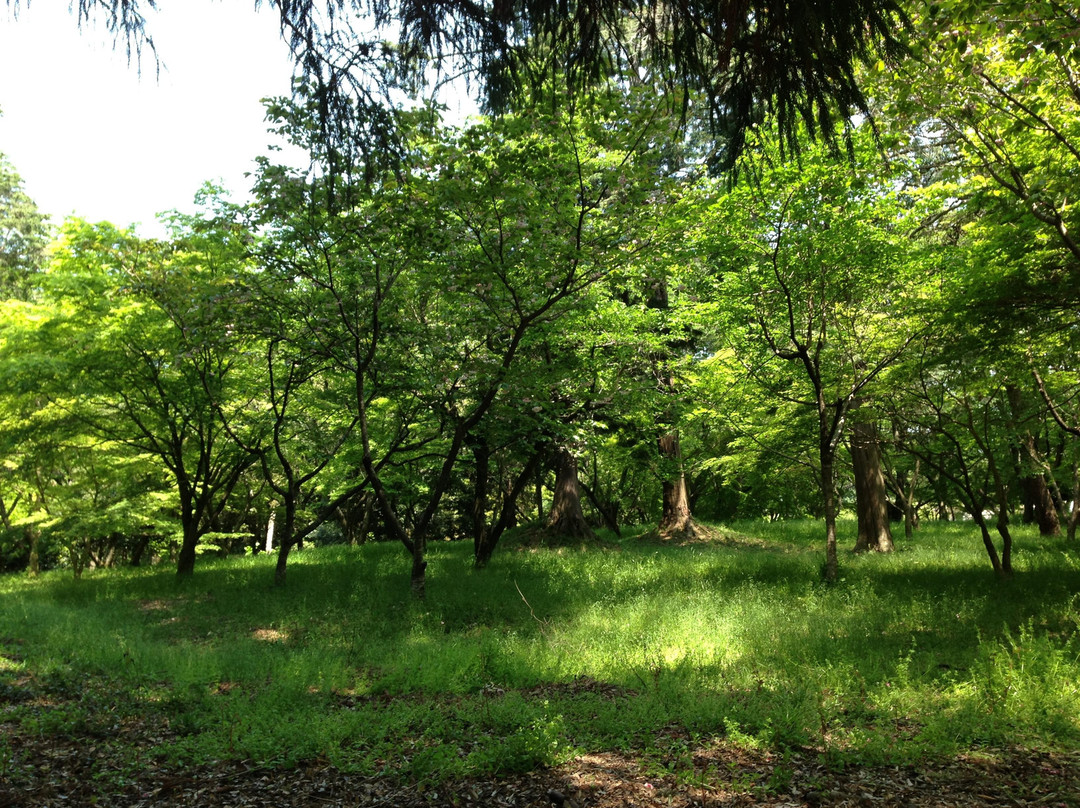 Kamo Shrine-近江八幡市必去景点