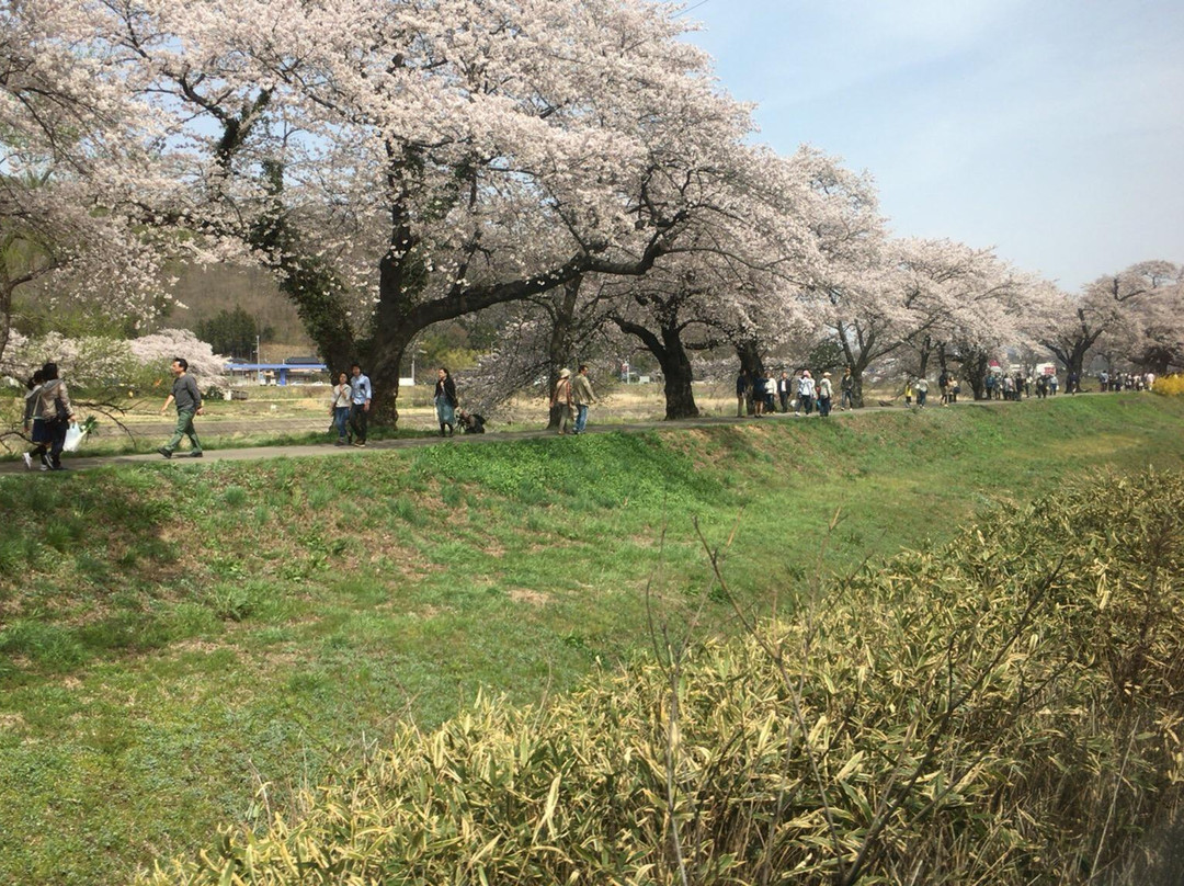 Ogawara Park-大河原町必去景点