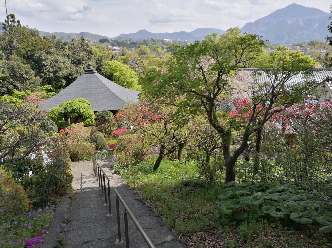 Hoohzan Iwanoued Temple - No. 20 Fudasho-秩父市必去景点