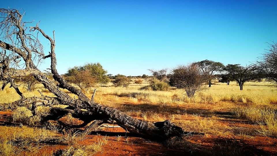 Jansen Kalahari Guest Farm