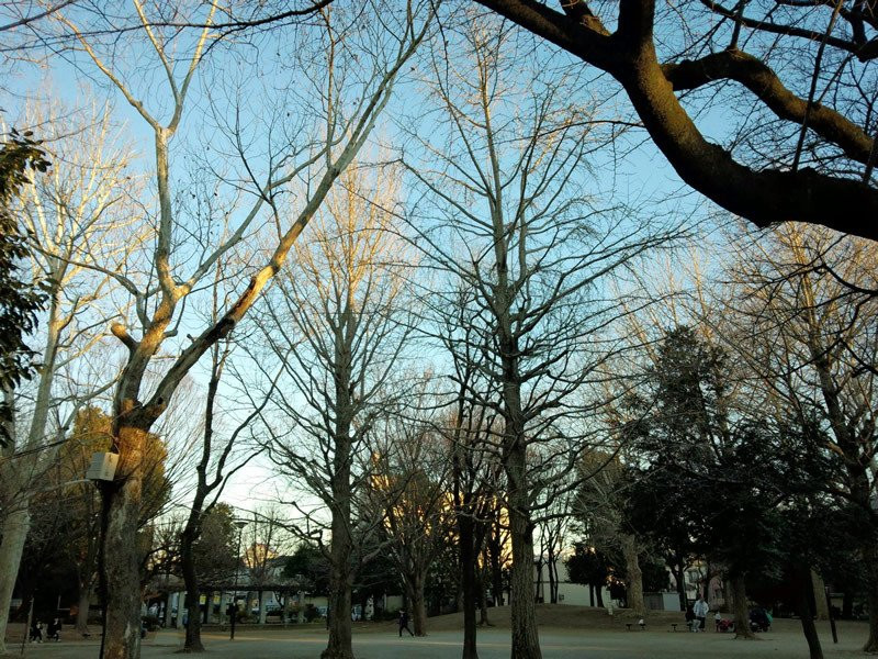 Araiyakushi Park景点图片