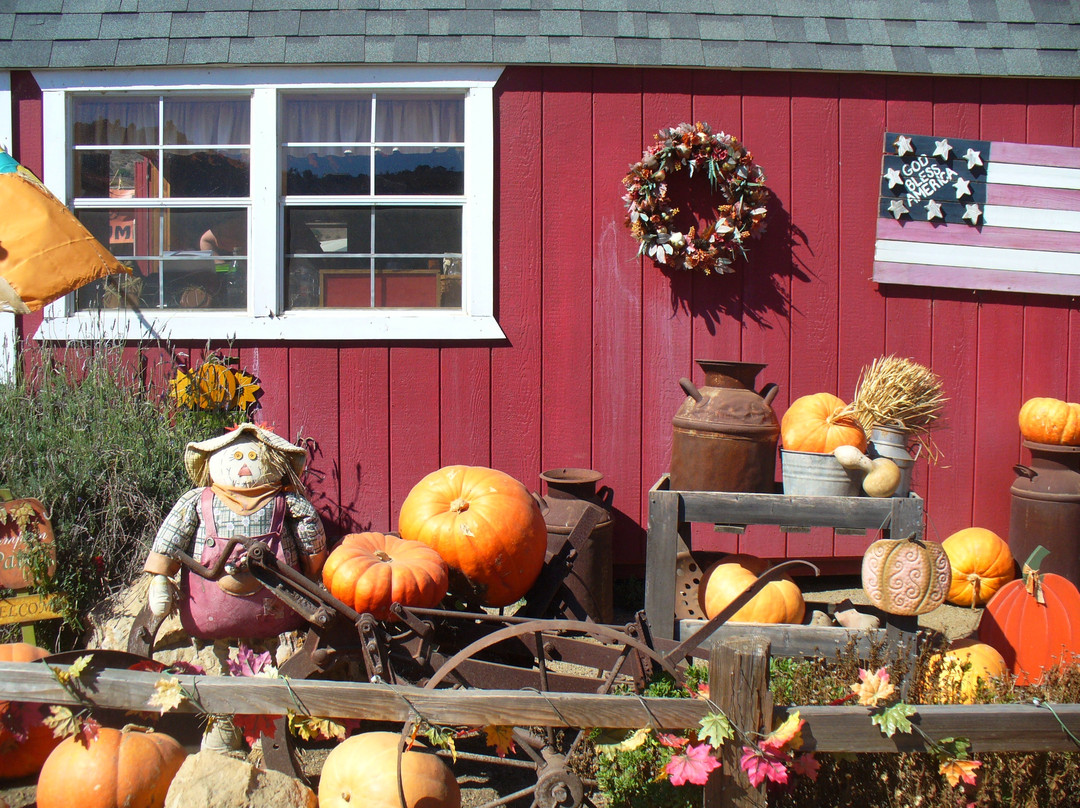 Oma's Pumpkin Patch景点图片
