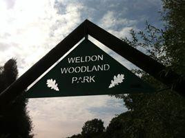 Weldon Woodland Park景点图片