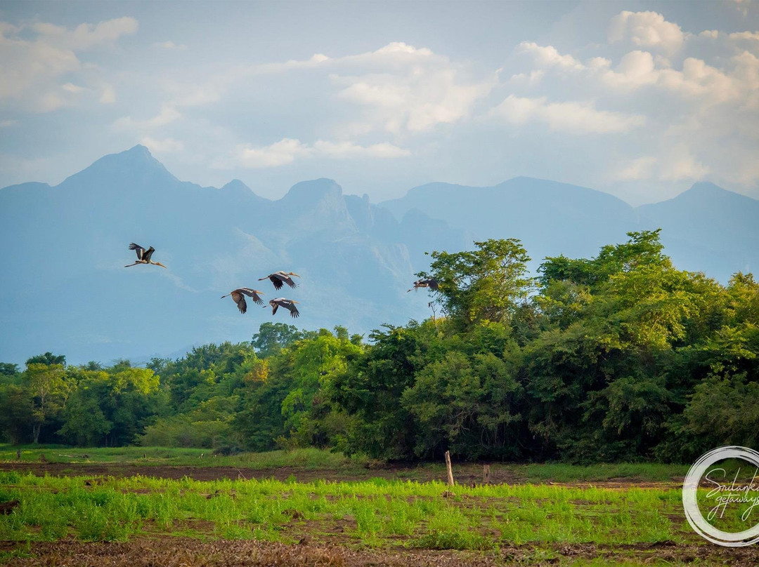 Lankan Getaways