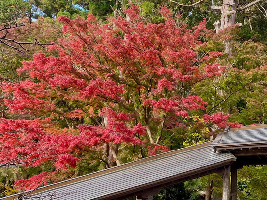 Ankokuzansaifuku Temple