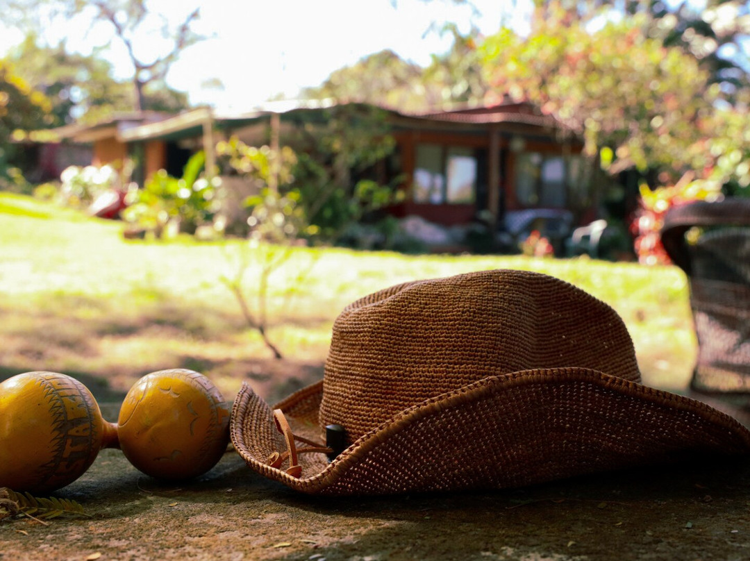 Casa de la Luz Ayahuasca CR