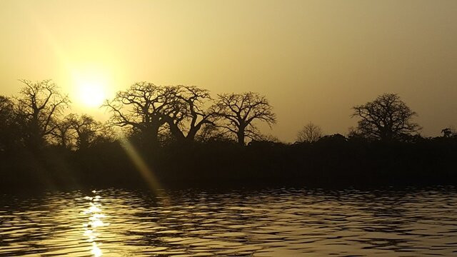 Agsil Senegal Travel Tour-达喀尔必去景点