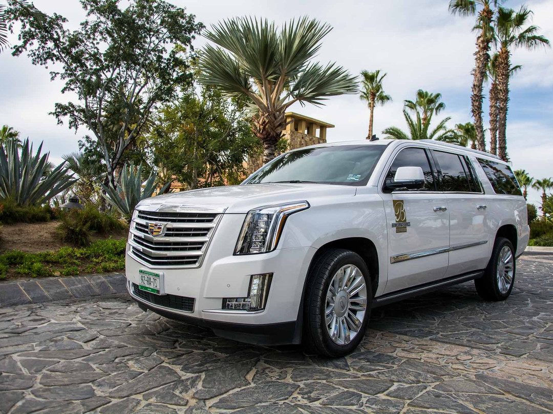 Brown's Private Services Transportation-卡波圣卢卡斯必去景点