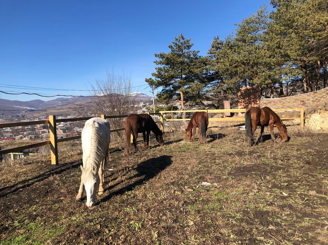 Kurko Woods Ranch & Retreat