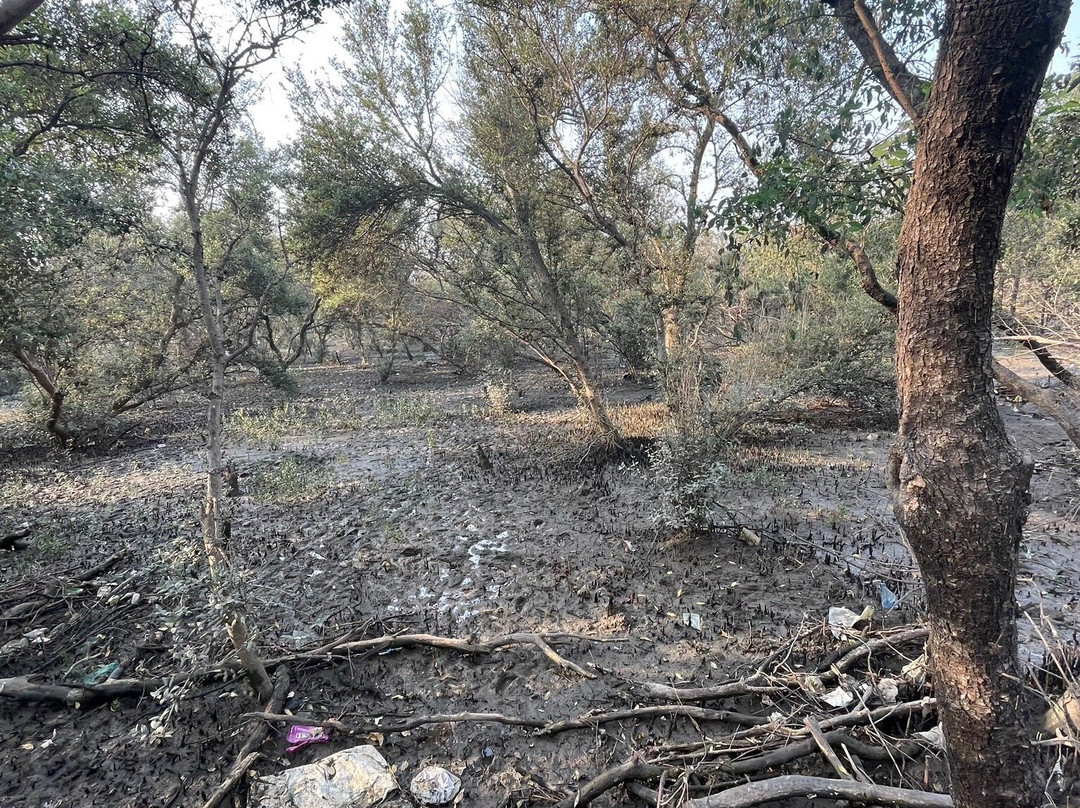 Thane Creek Flamingo Sanctuary景点图片