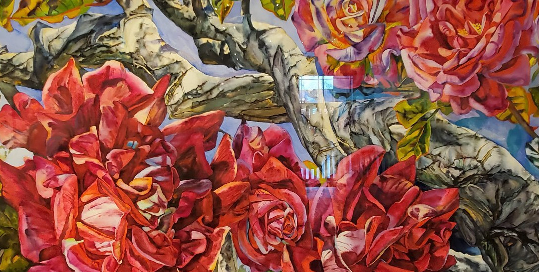 Canton Museum of Art-坎顿必去景点