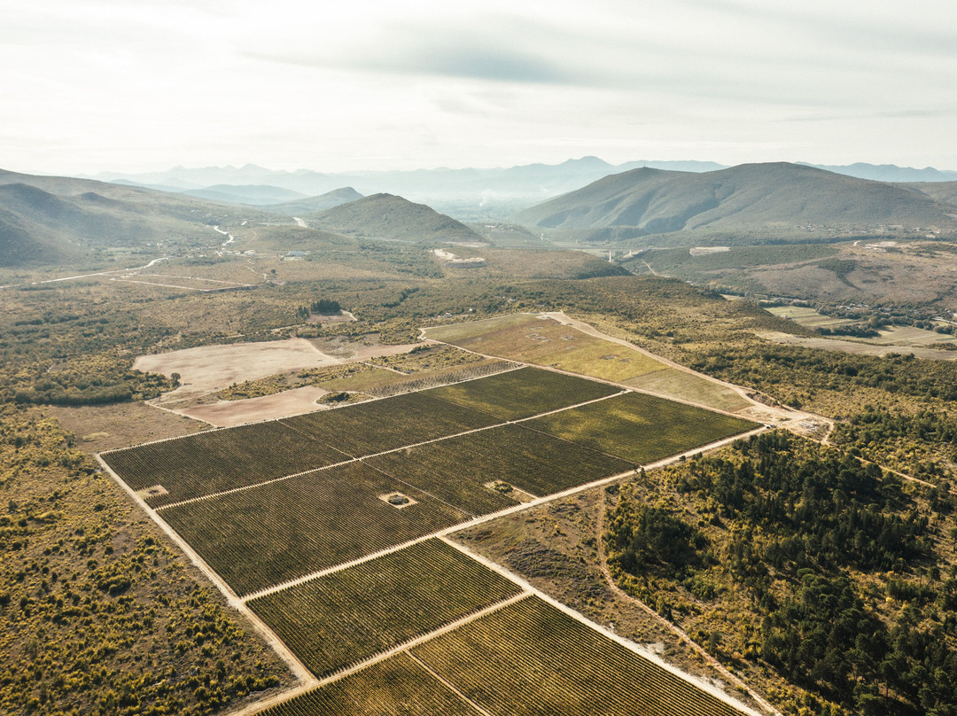 Vinogradi Nuic景点图片