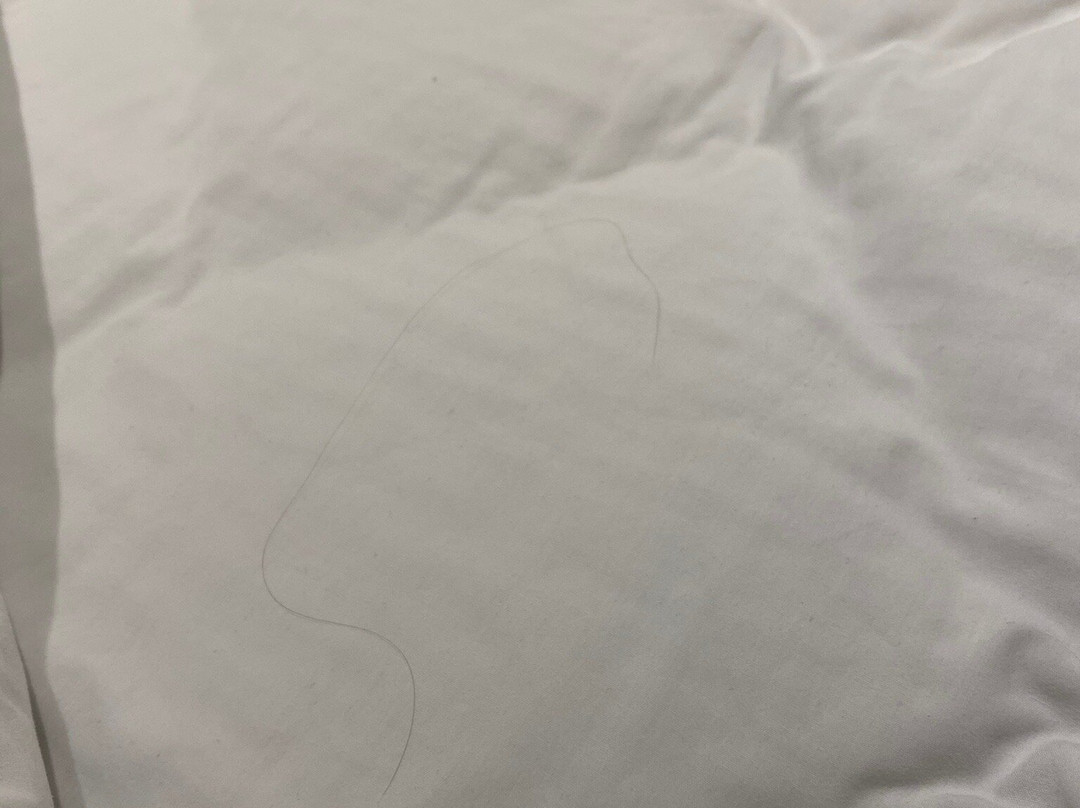 Courtyard By Marriott Chihuahua主图