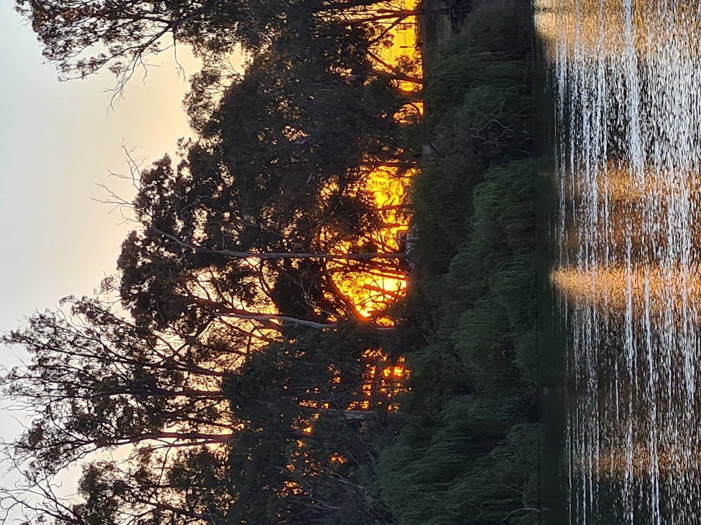 Sunrise Motel Barooga主图