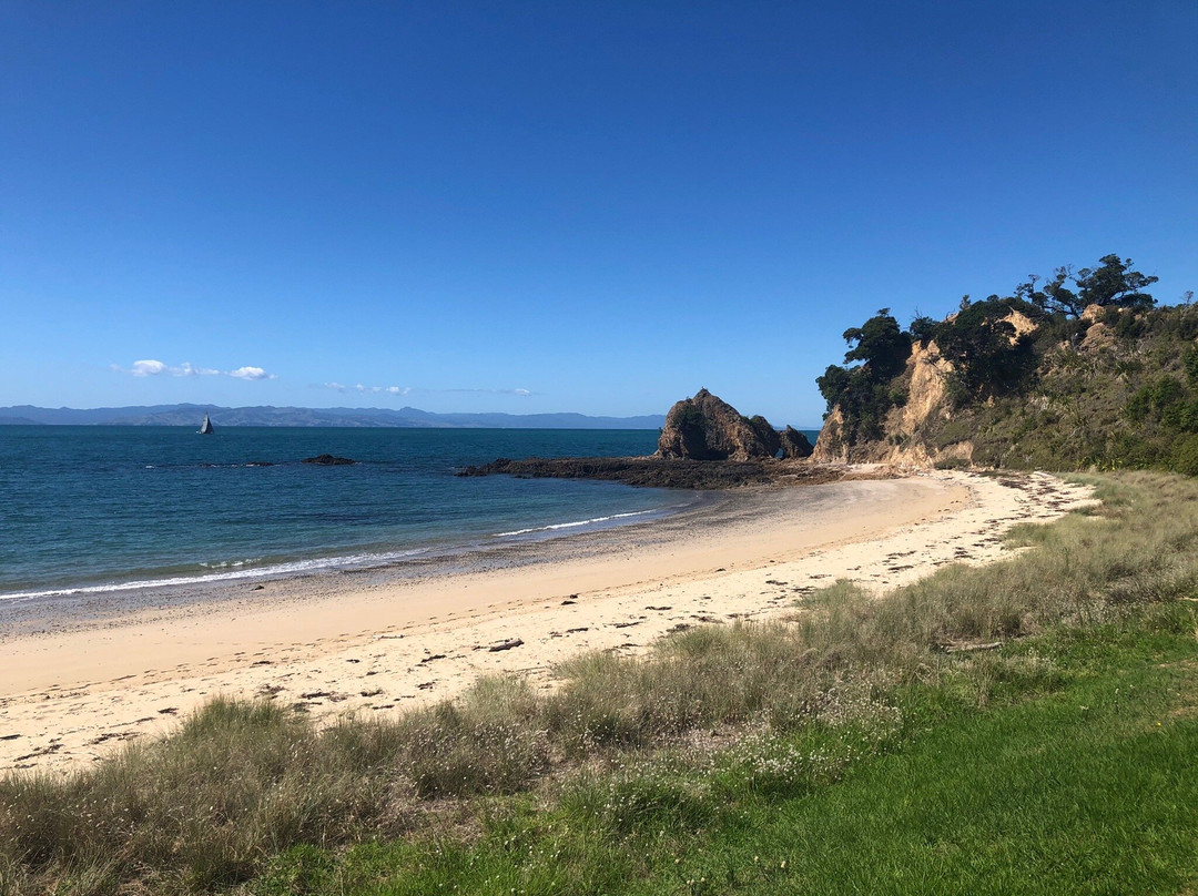 Rotoroa Island-奥克兰必去景点