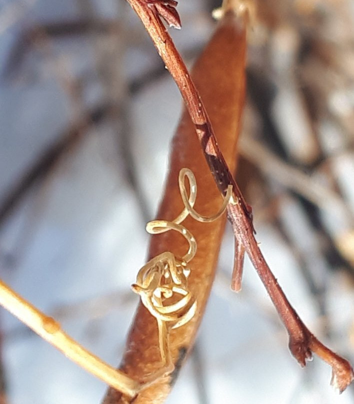 Icelandic Heritage-基米尼必去景点