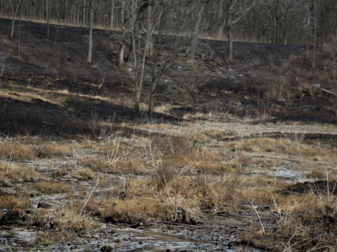 Gallagher Fen State Nature Preserve