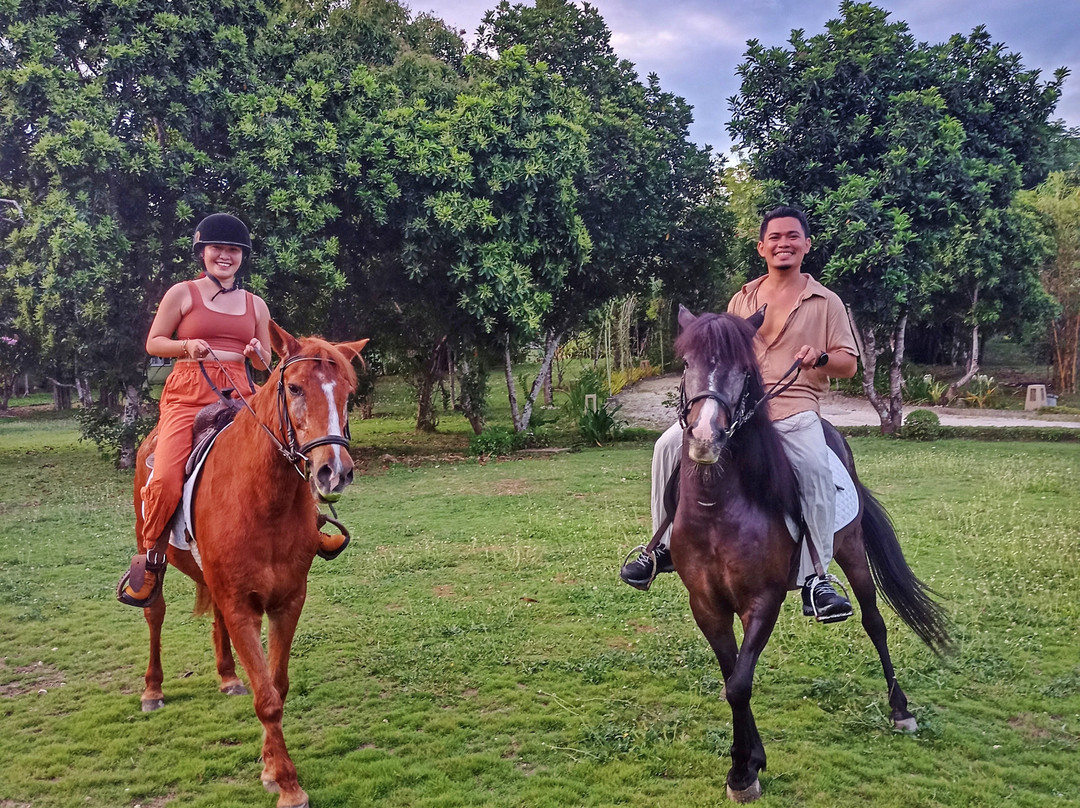 眼镜猴植物园别墅主图