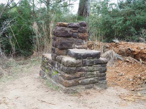Bastrop State Park-巴斯特罗普必去景点