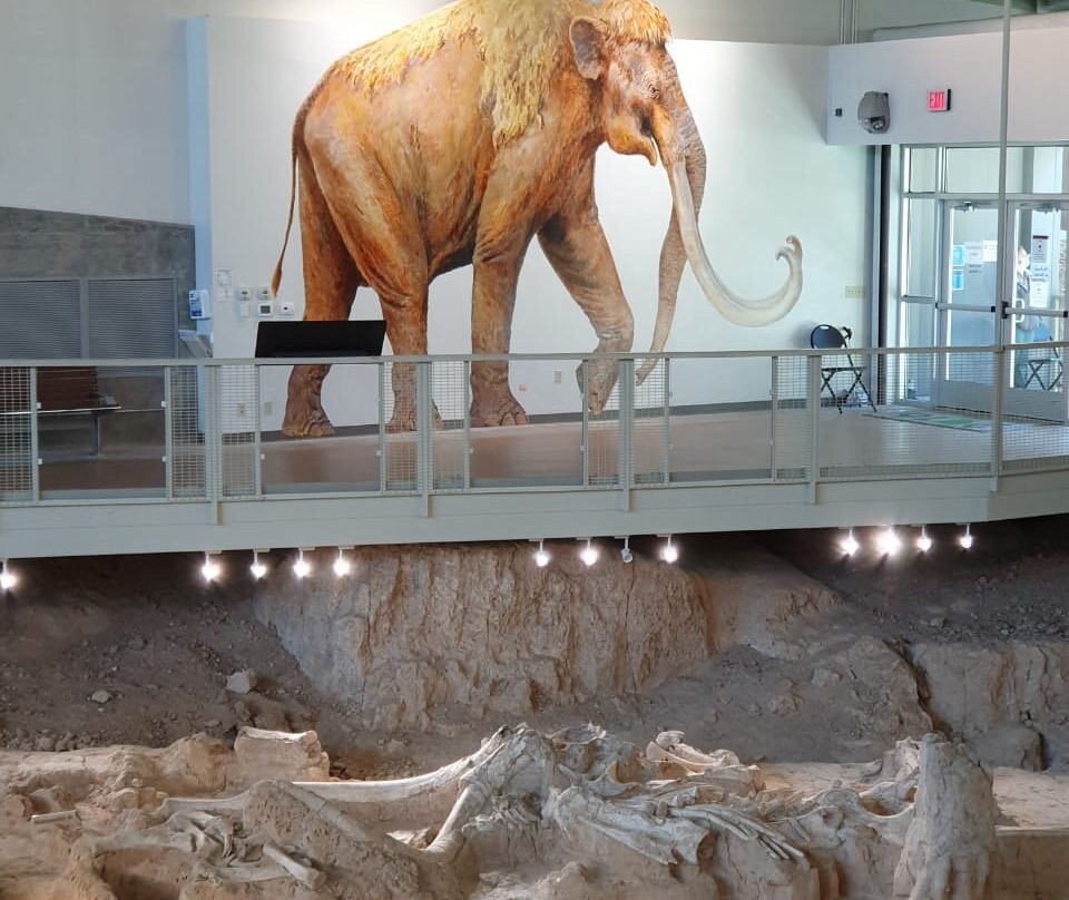 Waco Mammoth National Monument景点图片