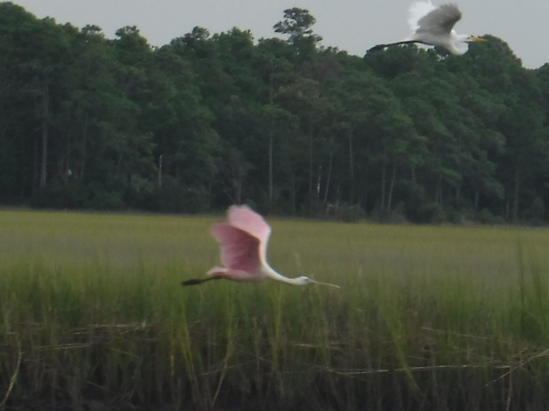TourH2O Ocean Isle Beach-Ocean Isle Beach必去景点