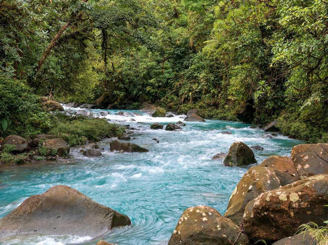 Side by Side ATV Tours & WILD LIFE-塔马林多必去景点