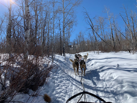 Mountain Musher-Bond必去景点