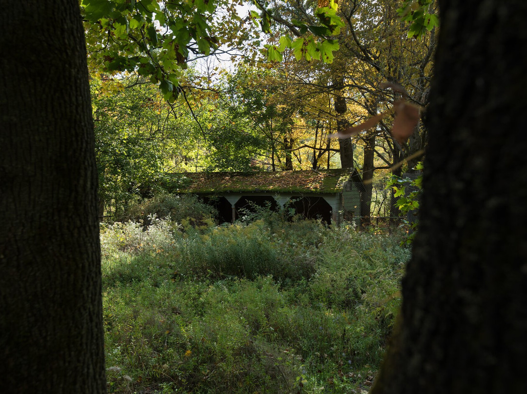 The Old Catskill Game Farm景点图片