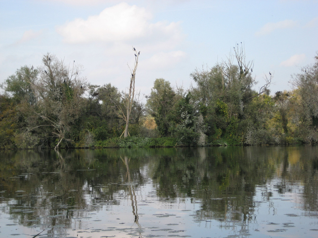 Etangs de Romelaere景点图片