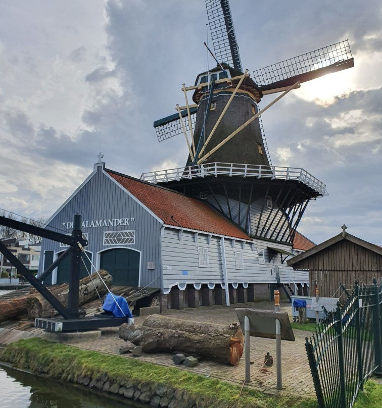 Sawmill de Salamander景点图片