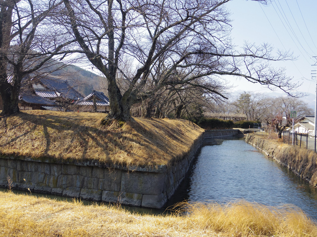 Tsuruoka Castle Goryokaku-佐久市必去景点