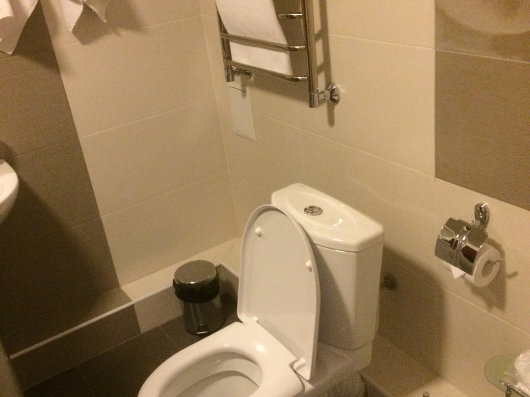 Gubernskaya Hotel主图