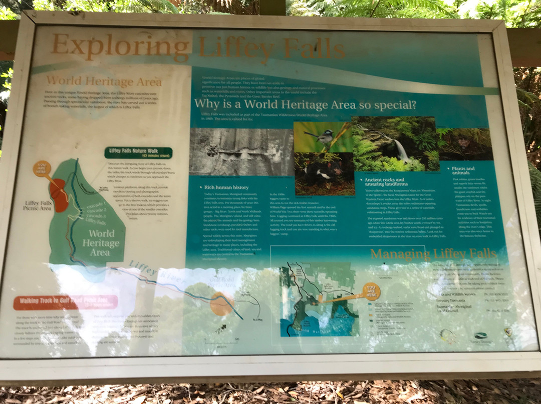 Liffey Falls-德洛兰恩必去景点