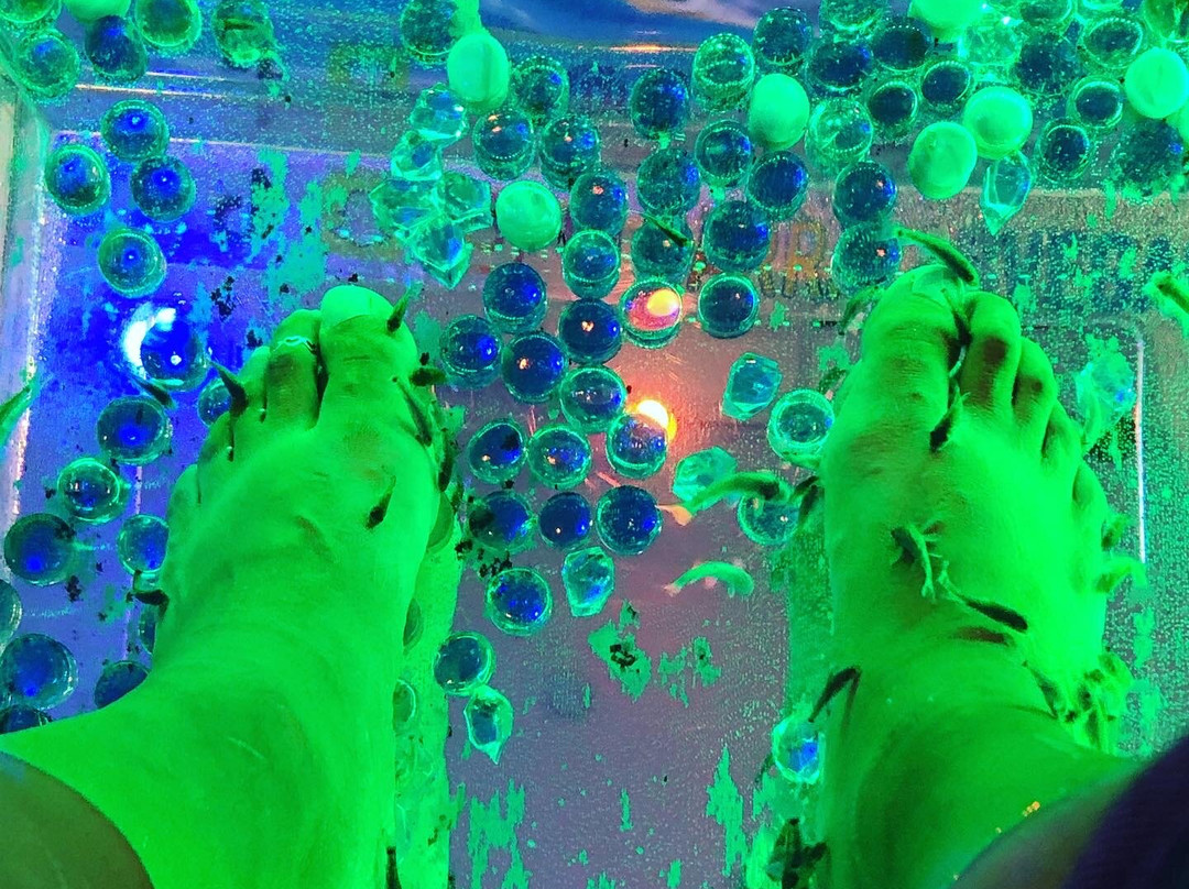 Garra Spas